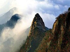 電能管理系統(tǒng)在南召污水廠的應用